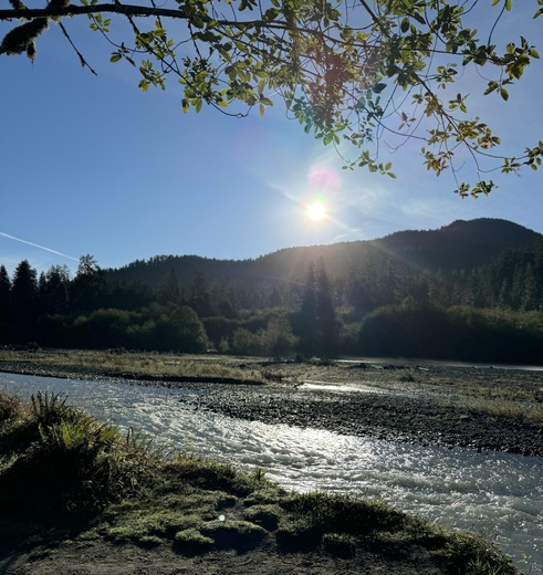 Olympic National Park 