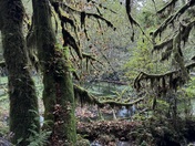 Olympic National Park 
