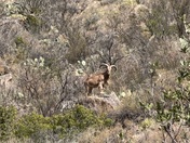 Big Bend National Park 