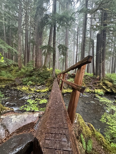 Olympic National Park 