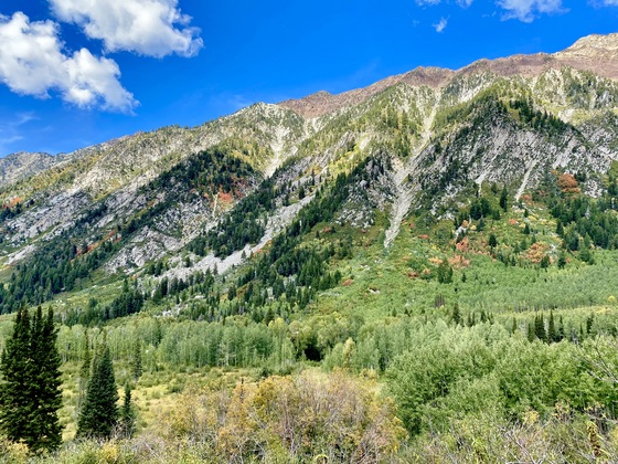 Gloria Falls Trail 