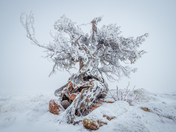 Vedauwoo Recreation Area, Medicine Bow National Forest