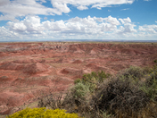 Petrified Forest National Park