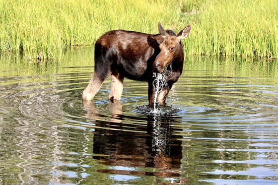 Grand Teton National Park