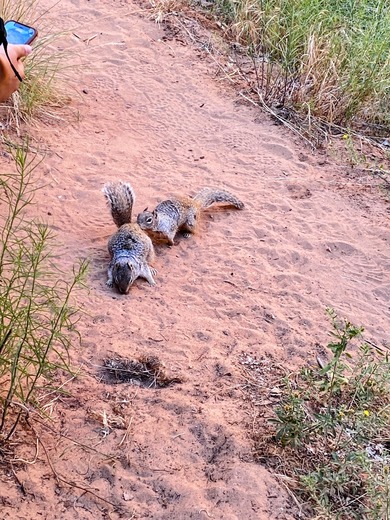 Zion National Park