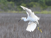 Assateague Island National Seashore