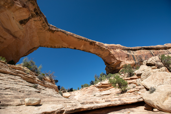 Natural Bridges National Monument