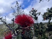 Hawaii Volcanoes National Park