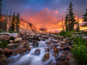 Medicine Bow National Forest