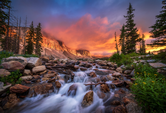 Medicine Bow National Forest