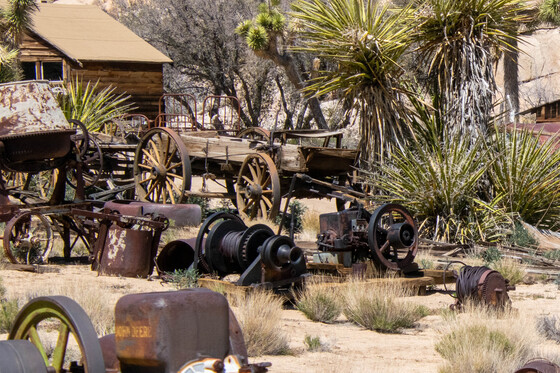 Joshua Tree National Park 