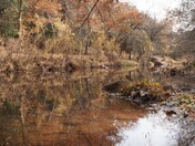 Tonto National Forest