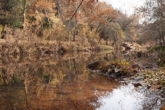 Tonto National Forest