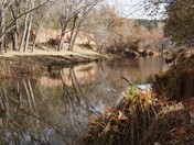 Tonto National Forest