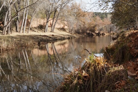 Tonto National Forest