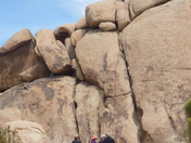 Joshua Tree National Park