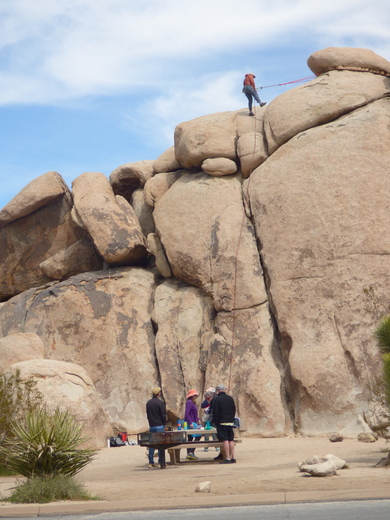 Joshua Tree National Park