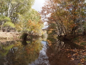 Tonto National Forest