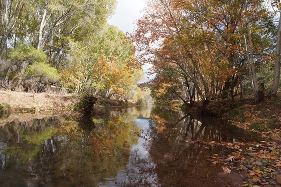 Tonto National Forest