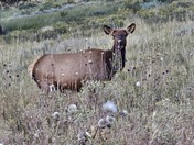 Rocky Mountain National Park