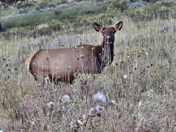 Rocky Mountain National Park