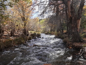 Tonto National Forest