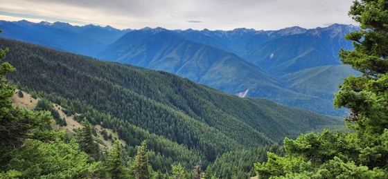 Olympic National Park 