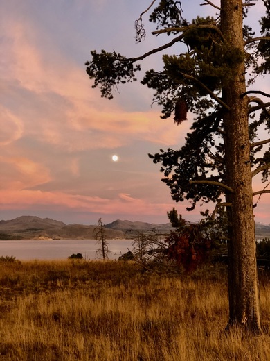 Yellowstone National Park