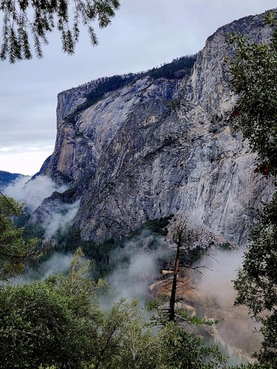 Yosemite National park