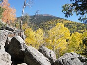 Coconino National Forest