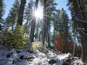 Tonto National Forest