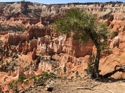 Bryce Canyon National Park