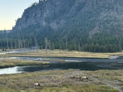 Yellowstone National Park