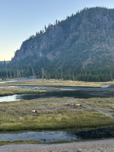 Yellowstone National Park