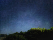 Frisco Campground - Cape Hatteras National Seashore
