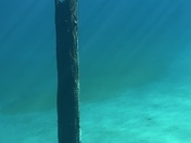 Clear Lake, Willamette National Forest