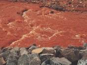 Capitol Reef National Park