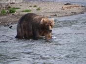 Katmai National Park and Preserve