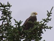 Lake Clark National Park & Preserve