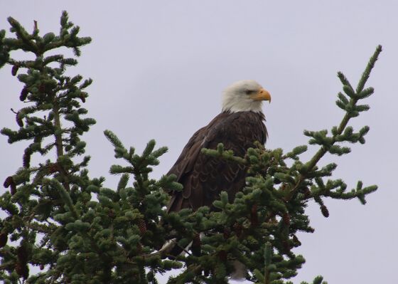 Lake Clark National Park & Preserve