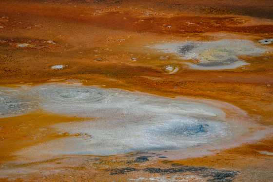 Yellowstone National Park