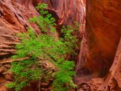 Grand Staircase Escalante National Monument