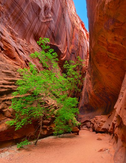 Grand Staircase Escalante National Monument