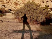 Joshua Tree National Park