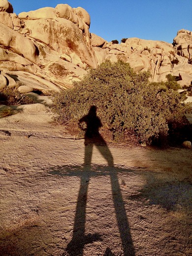 Joshua Tree National Park