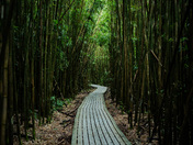Haleakala National Park