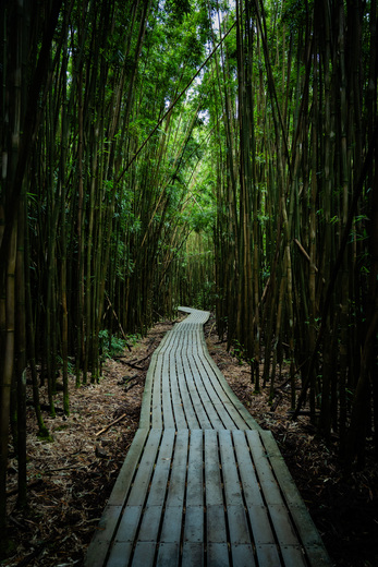 Haleakala National Park