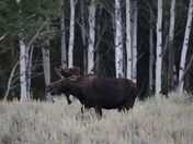 Grand Teton National Park