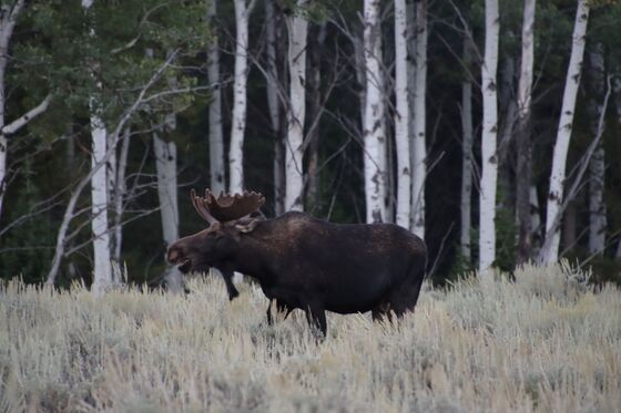 Grand Teton National Park