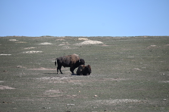 Theodore Roosevelt National Park